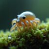 Scientists bolted living animals to the outside of a spacecraft and opened the hatch. Ten days later most of them woke up.